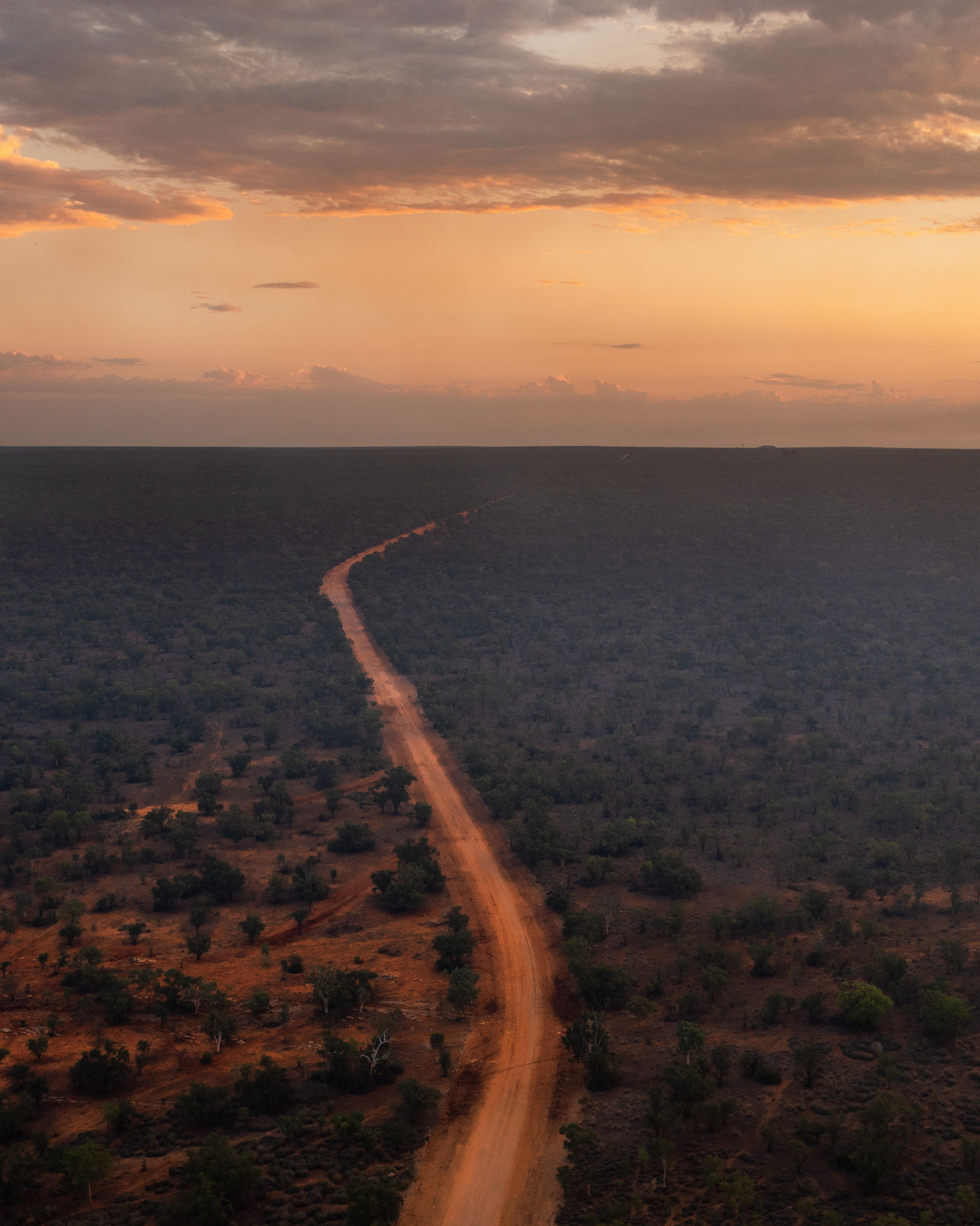 Landscape from Australia with a road through the Australian bush.