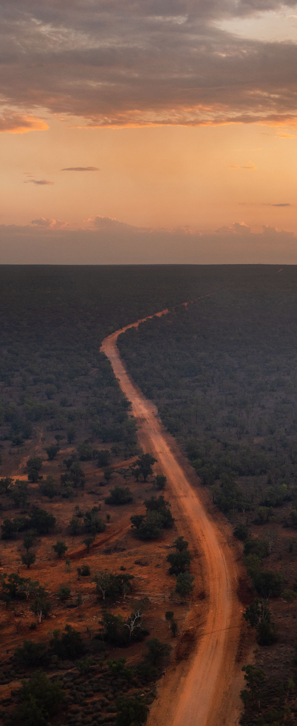 Landscape from Australia with a road through the Australian bush.