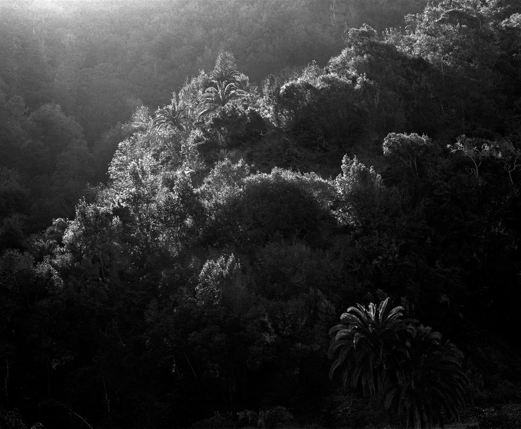 Am schwarzen Himmelsrund | Awoiska van der Molen | Prix Pictet