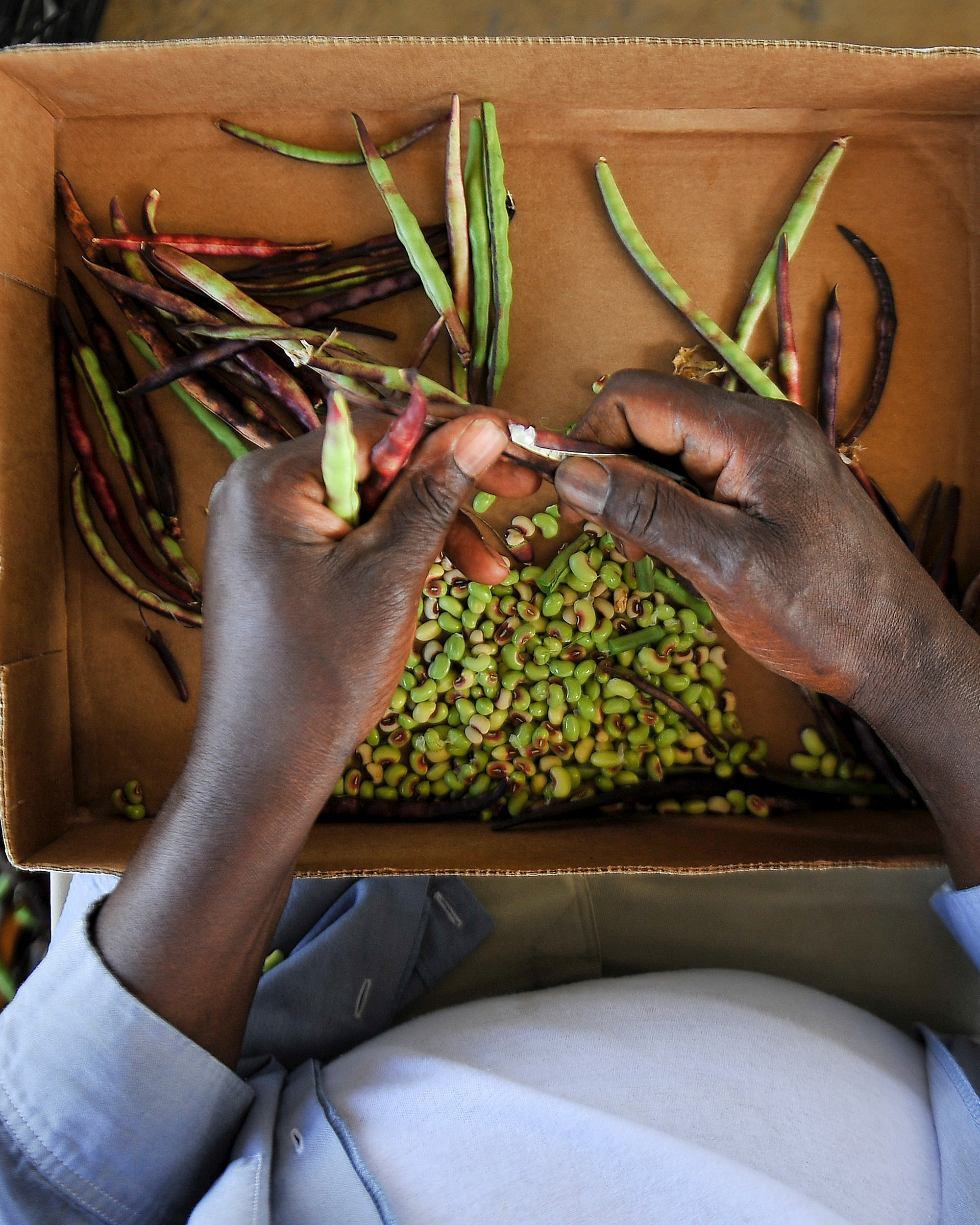 Nutrition projects | Pictet Group Foundation | Pictet