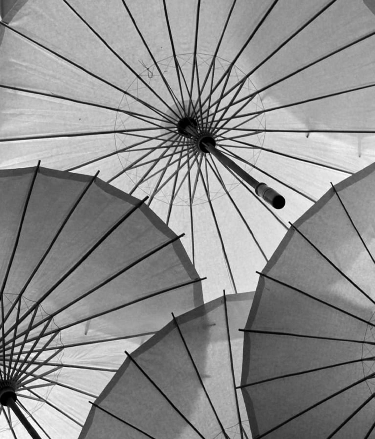 Barometer Why Japan merits a closer look