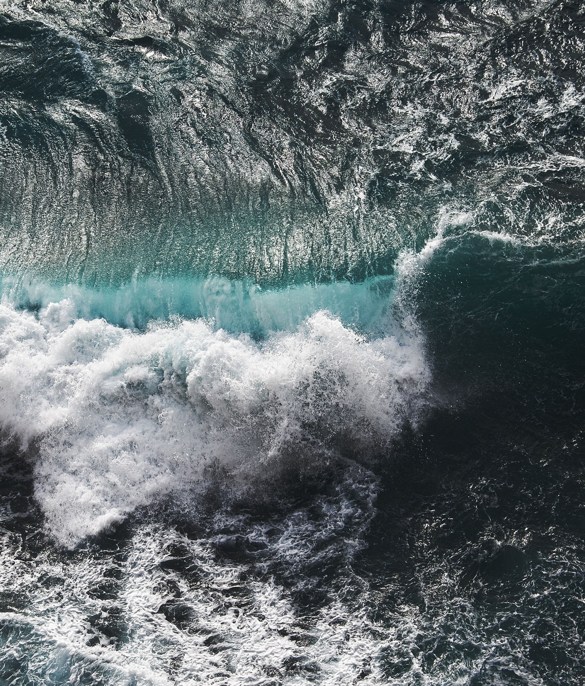 CIO观点：“美联储看跌期权”回归