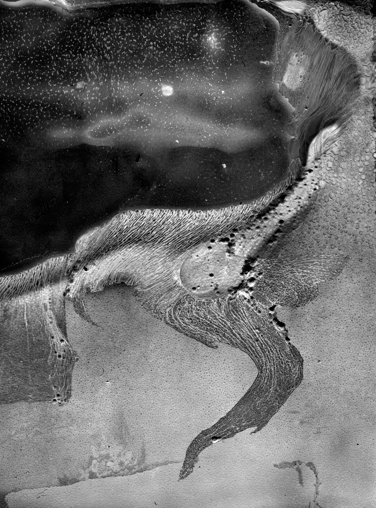 横田大輔（DAISUKE YOKOTA）MATTER / BURN OUT | G/P+abp