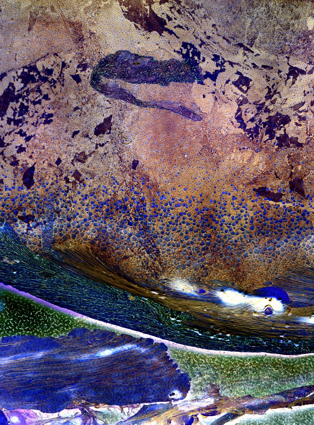 Matter / Burnout by Daisuke Yokota – Kominek