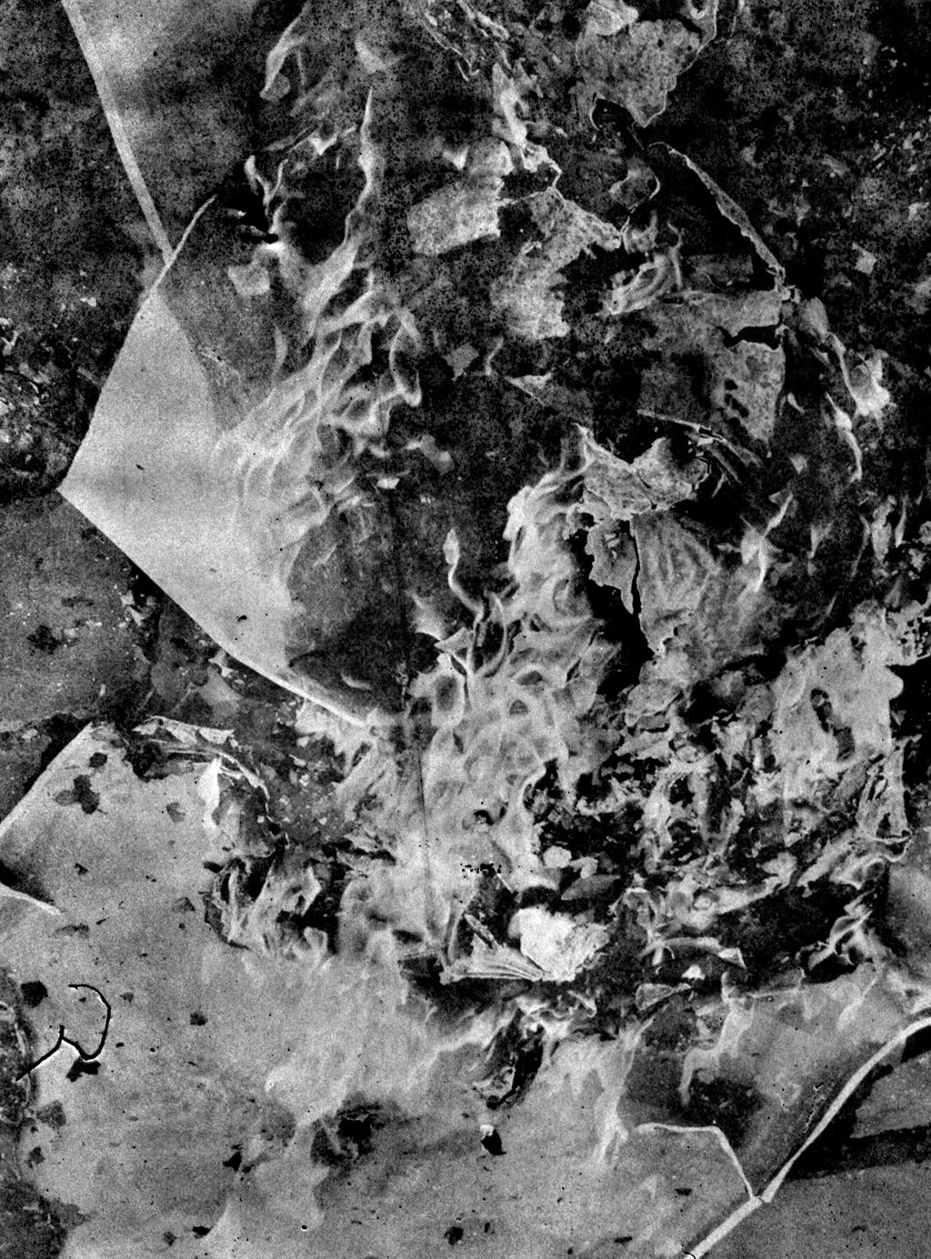 Matter / Burn Out | Daisuke Yokota | Prix Pictet