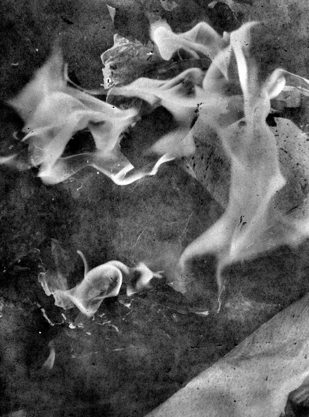 Matter / Burn Out | Daisuke Yokota | Prix Pictet